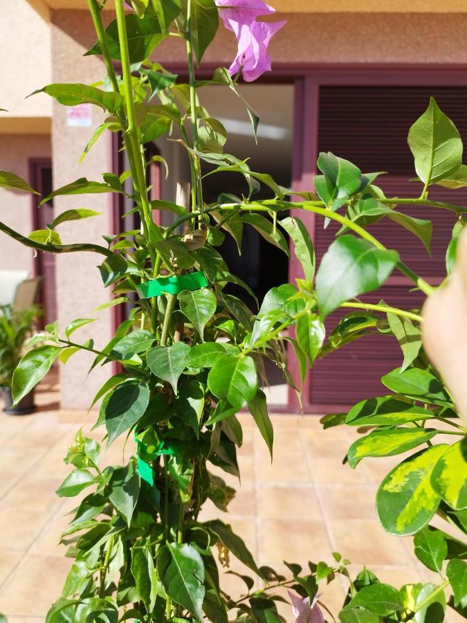 Vivienda Vacacional Compartida Radazul Bed & Breakfast Dış mekan fotoğraf