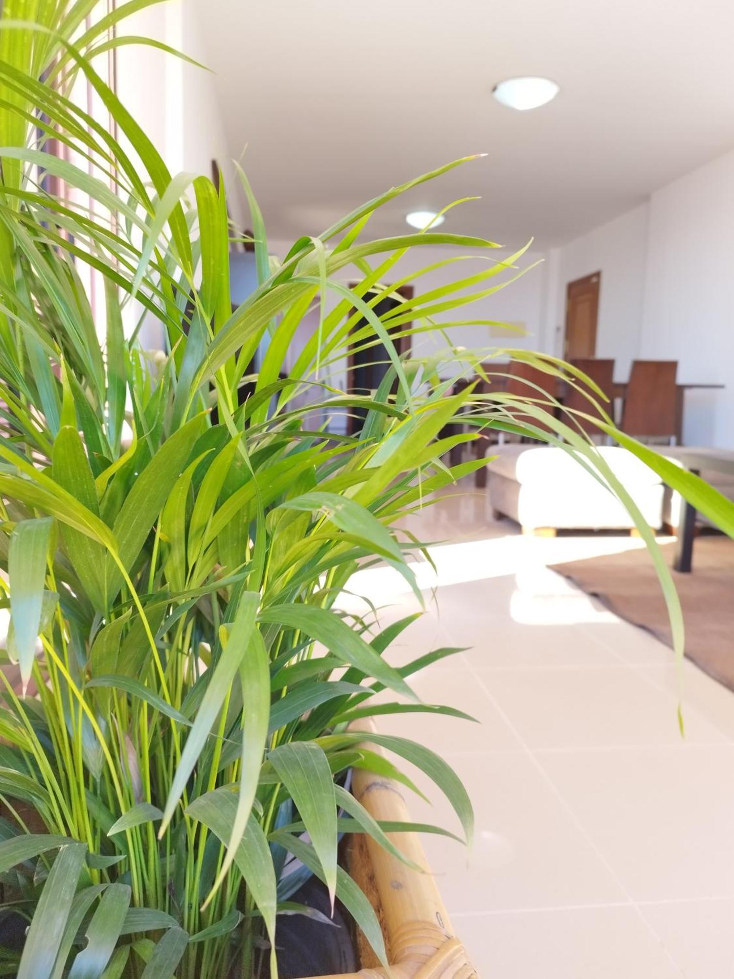 Vivienda Vacacional Compartida Radazul Bed & Breakfast Dış mekan fotoğraf